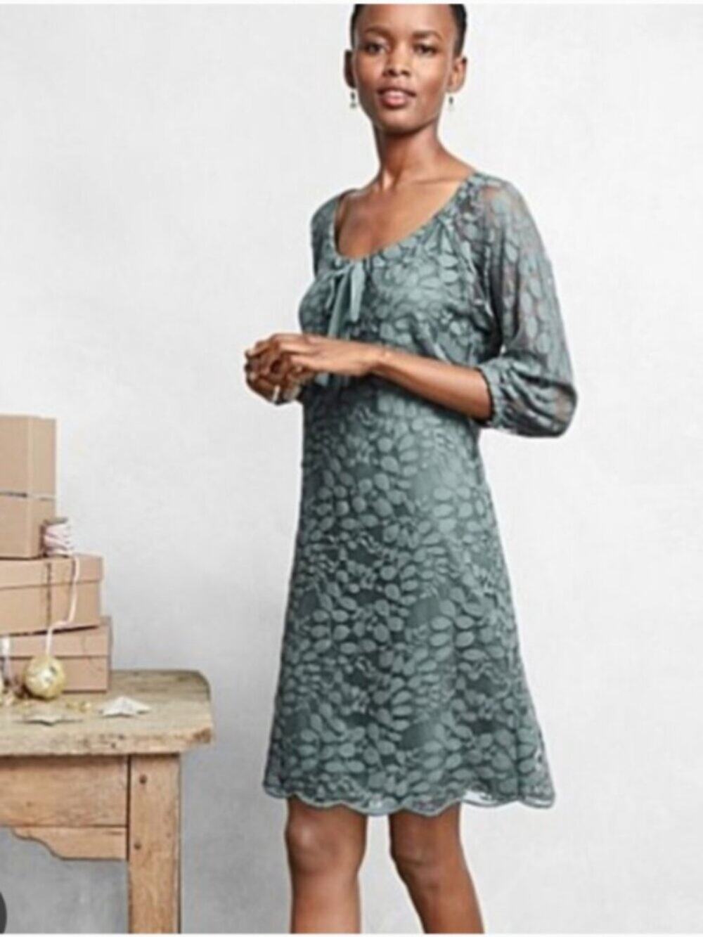 Garnet Hill Boheme Easy Green Vine Lace Dress Womens Size 14 Vintage Inspired